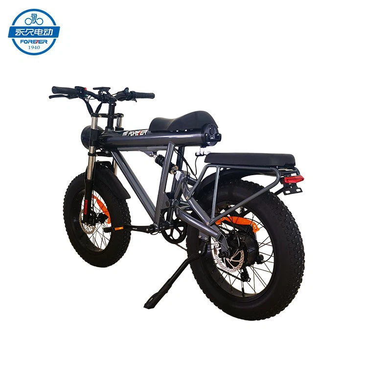 Electric Bike For Adults