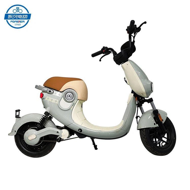 Small Electric Motorcycle