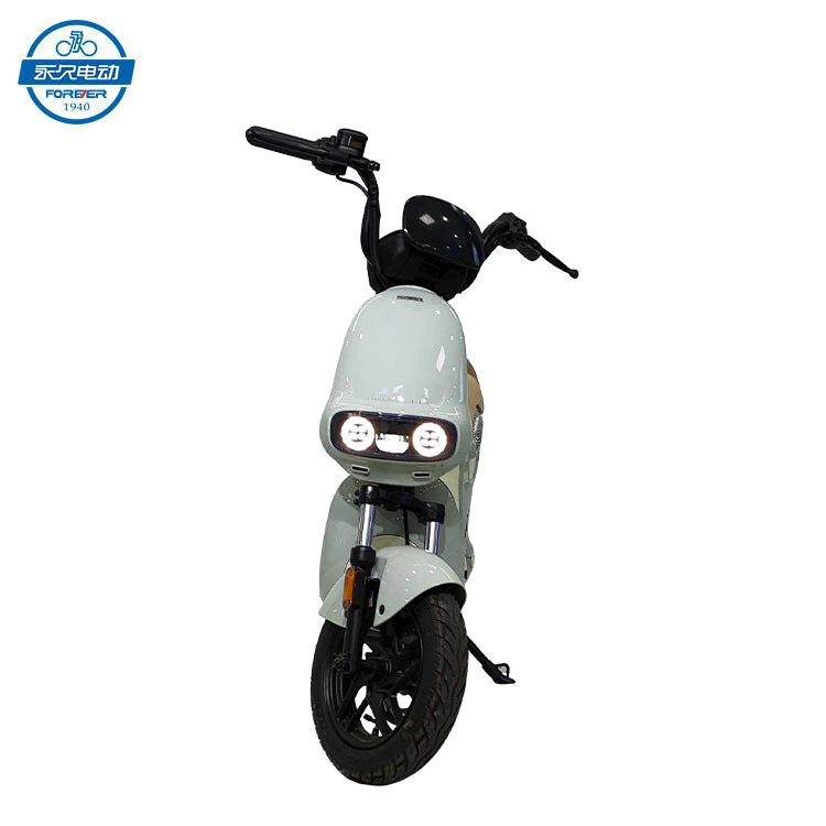 Small Electric Motorcycle